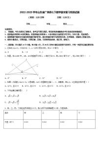 2022-2023学年山东省广饶县七下数学期末复习检测试题含答案