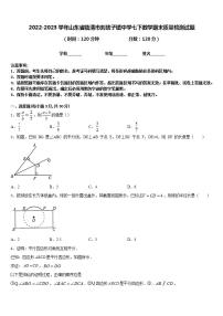 2022-2023学年山东省临清市刘垓子镇中学七下数学期末质量检测试题含答案