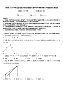 2022-2023学年山东省临沭县青云镇中心中学七年级数学第二学期期末经典试题含答案