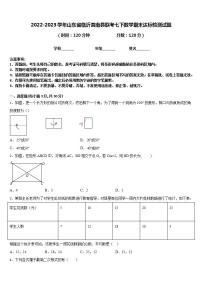 2022-2023学年山东省临沂莒南县联考七下数学期末达标检测试题含答案