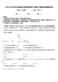 2022-2023学年山东省临沂平邑县联考数学七年级第二学期期末监测模拟试题含答案