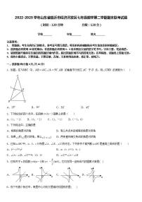 2022-2023学年山东省临沂市经济开发区七年级数学第二学期期末联考试题含答案