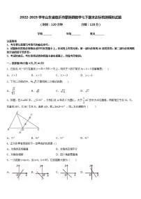 2022-2023学年山东省临沂市蒙阴县数学七下期末达标检测模拟试题含答案