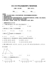 2022-2023学年山东省临沂数学七下期末联考试题含答案