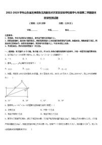 2022-2023学年山东省无棣县鲁北高新技术开发区实验学校数学七年级第二学期期末质量检测试题含答案