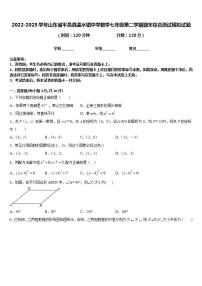 2022-2023学年山东省平邑县温水镇中学数学七年级第二学期期末综合测试模拟试题含答案