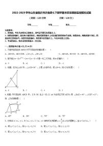 2022-2023学年山东省临沂市沂南县七下数学期末质量跟踪监视模拟试题含答案