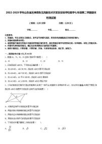 2022-2023学年山东省无棣县鲁北高新技术开发区实验学校数学七年级第二学期期末检测试题含答案