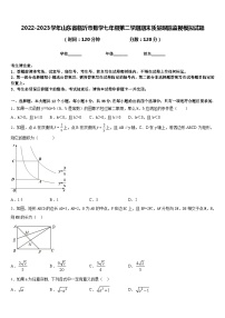 2022-2023学年山东省临沂市数学七年级第二学期期末质量跟踪监视模拟试题含答案