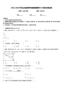 2022-2023学年山东省新泰市西部联盟数学七下期末经典试题含答案