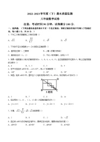 辽宁省铁岭市铁岭县2022-2023学年八年级下学期期末数学试题（含答案）