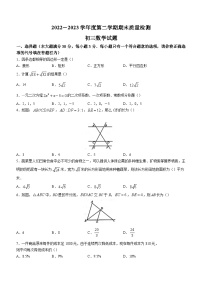 山东省济宁市任城区2022-2023学年八年级下学期期末数学试题（含答案）