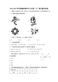 2022-2023学年湖南省郴州市七年级（下）期末数学试卷（含解析）