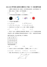 2022-2023学年浙江省绍兴市嵊州市八年级（下）期末数学试卷（含解析）