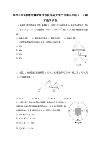 2022-2023学年河南省周口市扶沟县大李庄中学九年级（上）期末数学试卷（含解析）