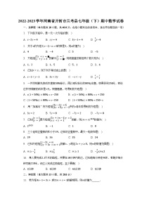 2022-2023学年河南省开封市兰考县七年级（下）期中数学试卷（含解析）