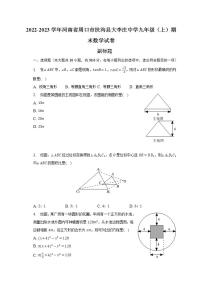 2022-2023学年河南省周口市扶沟县大李庄中学九年级（上）期末数学试卷（含解析）