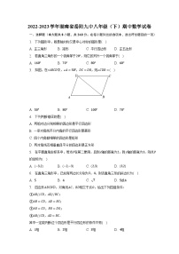 2022-2023学年湖南省岳阳九中八年级（下）期中数学试卷（含解析）