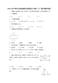 2022-2023学年山东省菏泽市成武县九年级（下）期中数学试卷（含解析）