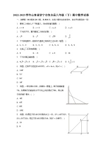 2022-2023学年山东省济宁市鱼台县八年级（下）期中数学试卷（含解析）