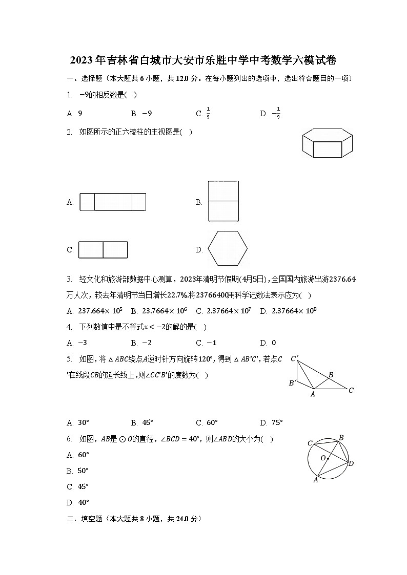 2023年吉林省白城市大安市乐胜中学中考数学六模试卷（含解析）01