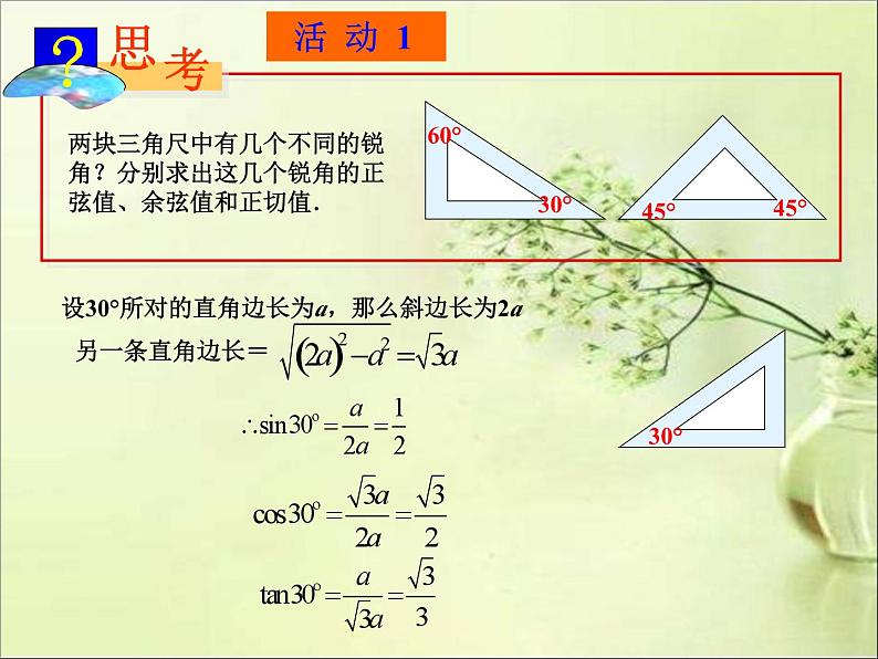 《特殊角的三角函数值及用计算器求角的三角函数值》PPT课件2-九年级下册数学人教版第3页