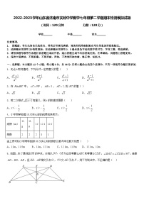 2022-2023学年山东省济南市实验中学数学七年级第二学期期末检测模拟试题含答案