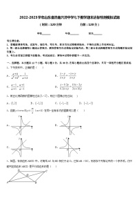 2022-2023学年山东省济南兴济中学七下数学期末达标检测模拟试题含答案