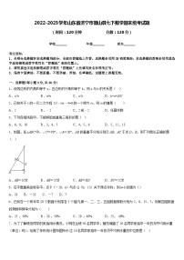 2022-2023学年山东省济宁市微山县七下数学期末统考试题含答案