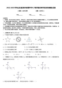 2022-2023学年山东省日照市新营中学七下数学期末教学质量检测模拟试题含答案