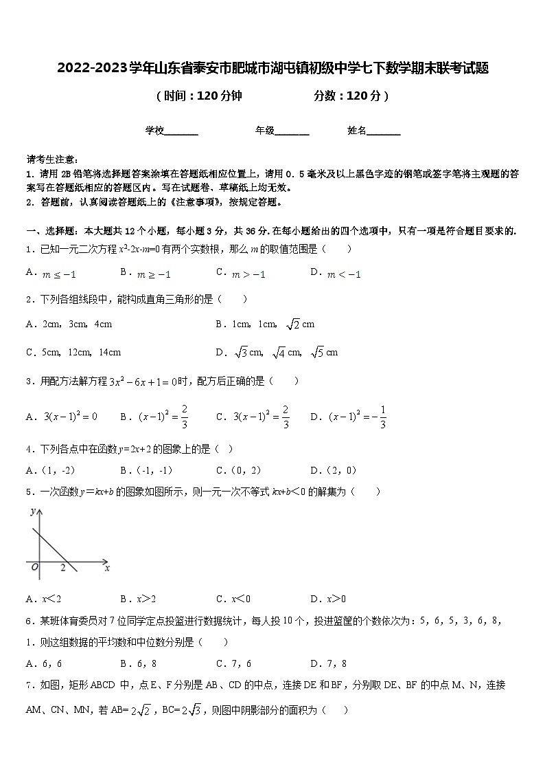 2022-2023学年山东省泰安市肥城市湖屯镇初级中学七下数学期末联考试题含答案01