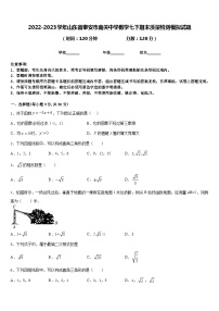 2022-2023学年山东省泰安市南关中学数学七下期末质量检测模拟试题含答案