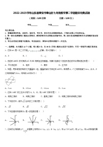 2022-2023学年山东省泰安市泰山区七年级数学第二学期期末经典试题含答案