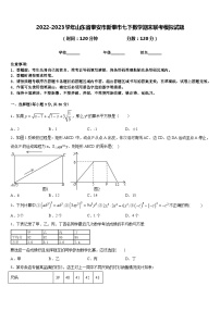 2022-2023学年山东省泰安市新泰市七下数学期末联考模拟试题含答案