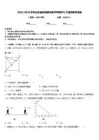 2022-2023学年山东省武城县实验中学数学七下期末联考试题含答案