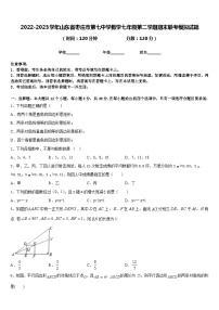 2022-2023学年山东省枣庄市第七中学数学七年级第二学期期末联考模拟试题含答案