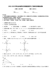 2022-2023学年山东省枣庄市薛城区数学七下期末统考模拟试题含答案