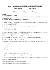 2022-2023学年山东省枣庄市薛城区七下数学期末综合测试试题含答案