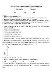 2022-2023学年山东省枣庄市数学七下期末监测模拟试题含答案