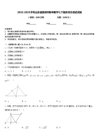 2022-2023学年山东省滨州市联考数学七下期末综合测试试题含答案