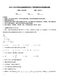 2022-2023学年山东省滨州市名校七下数学期末综合测试模拟试题含答案