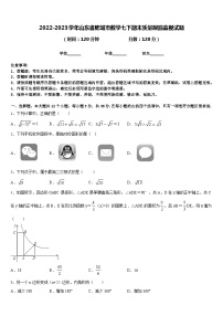 2022-2023学年山东省肥城市数学七下期末质量跟踪监视试题含答案