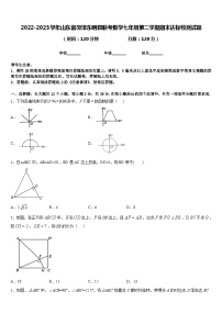 2022-2023学年山东省菏泽东明县联考数学七年级第二学期期末达标检测试题含答案