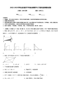 2022-2023学年山东省济宁市鱼台县数学七下期末监测模拟试题含答案