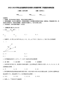 2022-2023学年山东省聊城市东阿县七年级数学第二学期期末调研试题含答案