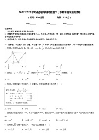 2022-2023学年山东省聊城市临清市七下数学期末监测试题含答案