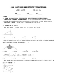 2022-2023学年山东省莘县联考数学七下期末监测模拟试题含答案