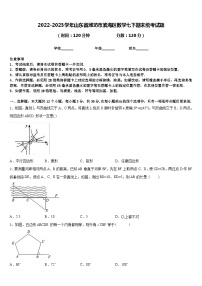 2022-2023学年山东省潍坊市滨海区数学七下期末统考试题含答案