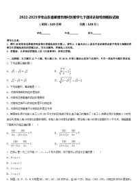 2022-2023学年山东省淄博市周村区数学七下期末达标检测模拟试题含答案