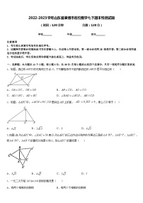 2022-2023学年山东省淄博市名校数学七下期末检测试题含答案